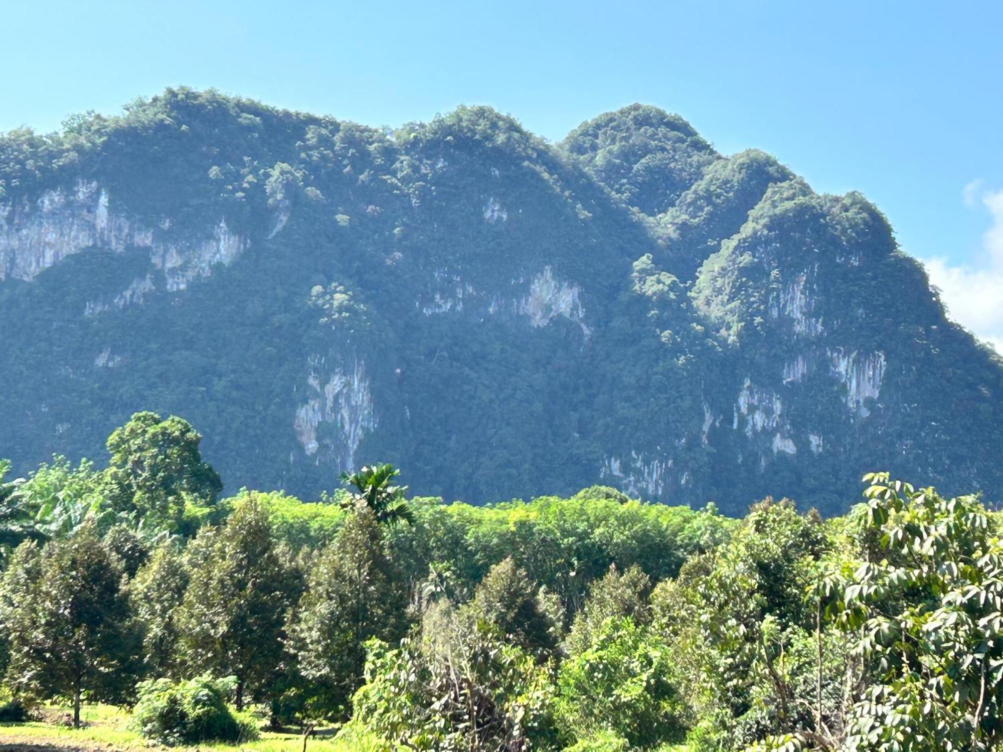 Khaosok Secret Hostel Khao Sok National Park Екстер'єр фото